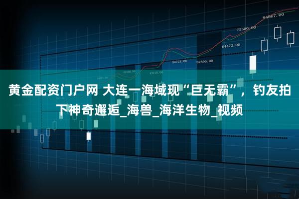 黄金配资门户网 大连一海域现“巨无霸”，钓友拍下神奇邂逅_海兽_海洋生物_视频