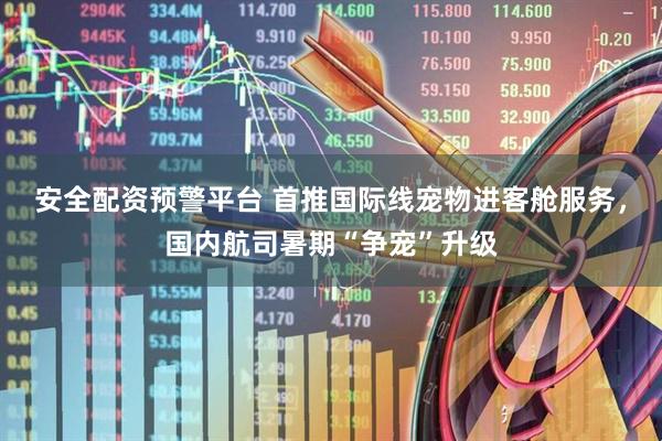 安全配资预警平台 首推国际线宠物进客舱服务，国内航司暑期“争宠”升级