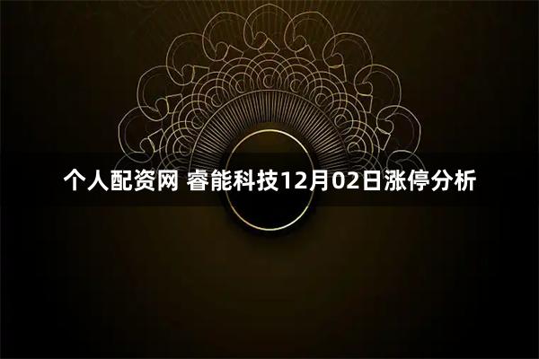 个人配资网 睿能科技12月02日涨停分析