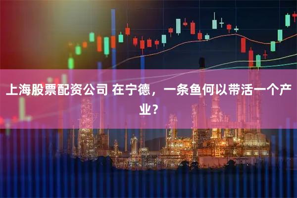 上海股票配资公司 在宁德，一条鱼何以带活一个产业？